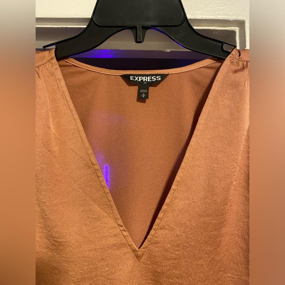 Express Rust Orange V-Neck Blouse